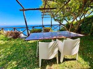 Villa Gama with private garden in Praiano