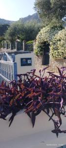 Il Posto Giusto img37