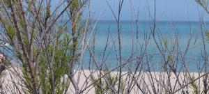 Il Posto Giusto img35