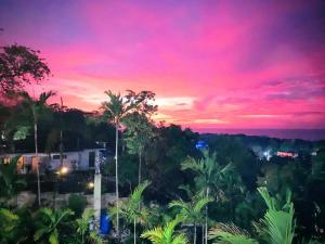 The Coconut Palm Villa ~Poolside Ocean View Suite