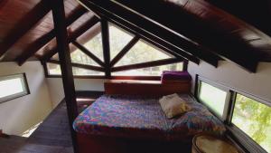 Cabin in the Tigre Delta Nature and fauna