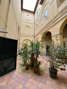 Green appartment