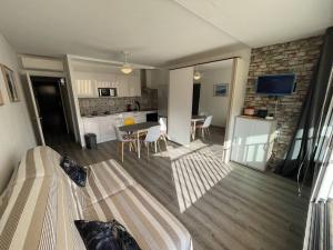 Studio rénové St-Cyprien plage, climatisé - FR-1-106-110