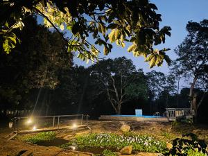 Divine Eco Resort