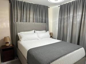 Serene 2-Bedroom Apartment with Mountain Views in Santiago