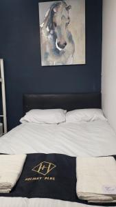 Holiday Plus - 50 Palatine Road