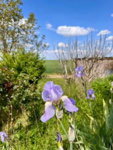 La Maisonnette de Chevannes