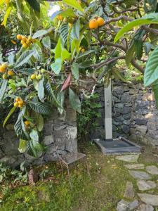 Villa Cokkinis fronte mare con ampio giardino