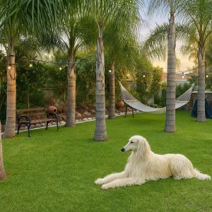 Casa Dharma con albercajacuzzi