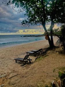 Bloom Beach Villa