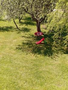 Apartman Rendulić