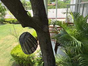 Solanki BNB villa & guest house entire place fully pvt