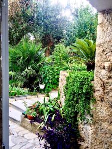 Large garden apartment 10min walk to Old Town