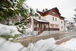 Antracyt - 皮夫尼奇纳