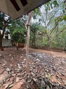 Gravity Groups Kerala Villa - Near Jipmer Sangamithra