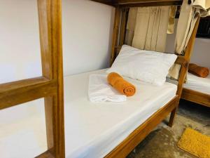 Fazzah de Siargao Homestay - Starlink and Generator Ready