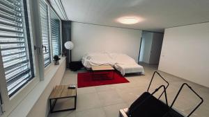 Beautiful Apartment near Rheinfalls