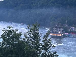 Beautiful Apartment near Rheinfalls