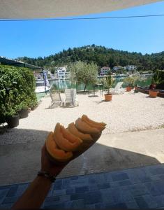 Apartman OZANA