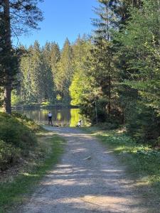 HAUS AM SEE - Natur Pur