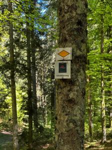 HAUS AM SEE - Natur Pur