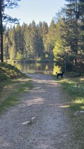 HAUS AM SEE - Natur Pur