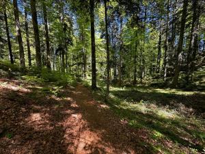 HAUS AM SEE - Natur Pur