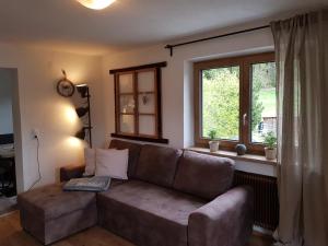 Alpin Appart Reiter- & Alpakahof in Niederthai