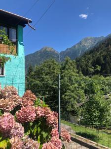 Casa Blu