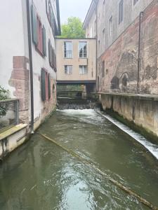 Studio 8 Rhine View - Quiet and Cozy - 10min Walk to City Center, 15min to Main Station