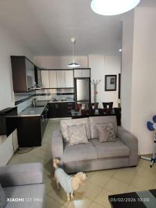 Apartament Astoria