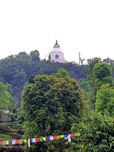Peace Dragon Retreat - Hillside Escape near World Peace Pagoda