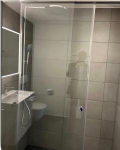 Stay near Rheinfall Switzerland Zurich 50 min