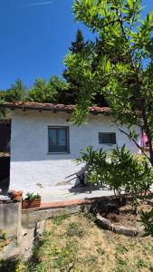 Un piccolo Paradiso nel Chianti più selvaggio