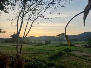 สบายดีบ่อว้า รีสอร์ท น่าน Sabaidee Borwa Resort Nan