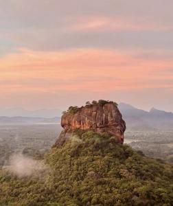 Sundaras Sigiriya Jungles Resort