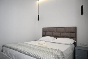 Ola Apartment