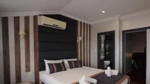 Nova Roma Home