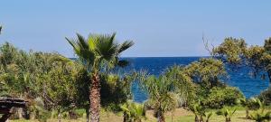 Joli appartement résidentiel plage et piscine