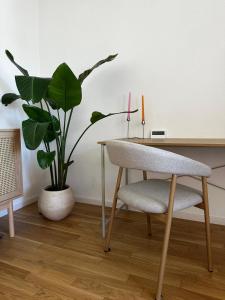 Studio in the heart of Basel