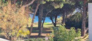 Joli appartement résidentiel plage et piscine