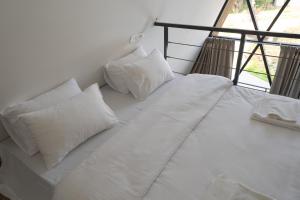 Dvaita Resorts