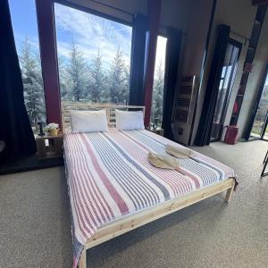 Baraka Suite