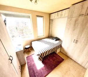 Sunny Cozy Apartment with King Bed, 2 toilets, Fast WiFi, Walk to Center