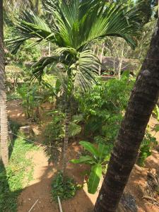 VanaDurga Homestay
