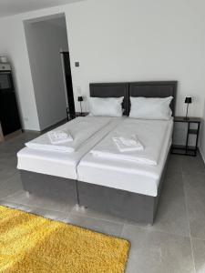 PiCassO - Frisch & Modern in bester City Lage -