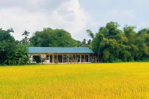 Ruộng Homestay