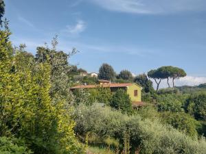 The Green House 2