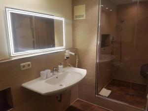 Executive Double Room room in Zum Schweizerbartl
