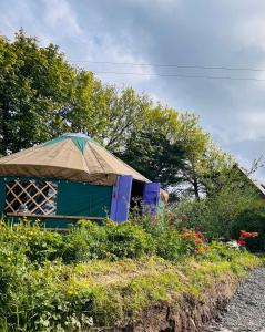 A Magical Cosy Garden Yurt